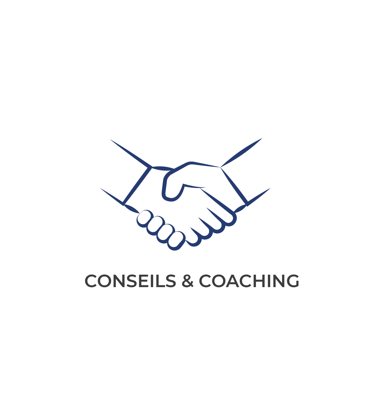 conseil et coaching