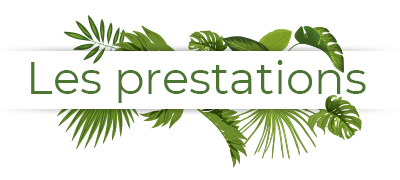 titre-spadeslys-prestations